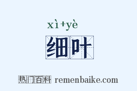 细叶是什么意思的图片